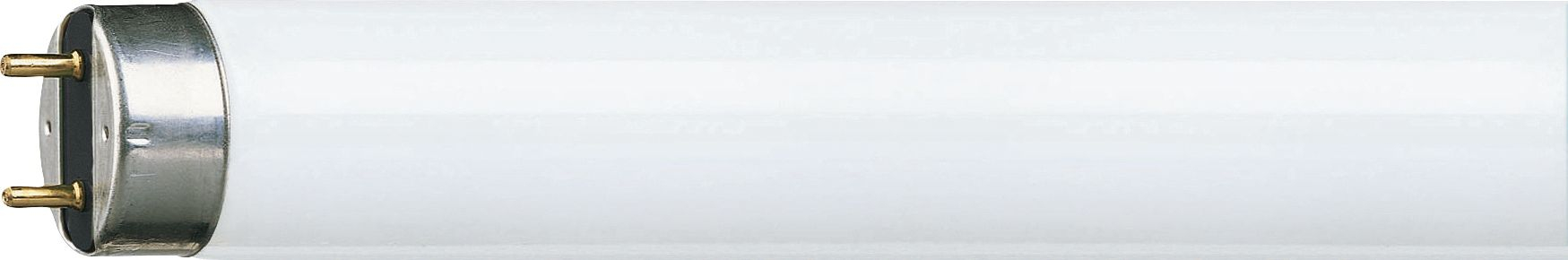 PHILIPS PHILIPS MASTER TL-D Super 80 led tl buis 121cm - 36W - 6500K