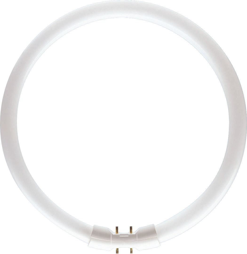 PHILIPS PHILIPS master tl5 circular fluorescentielamp - 4000K