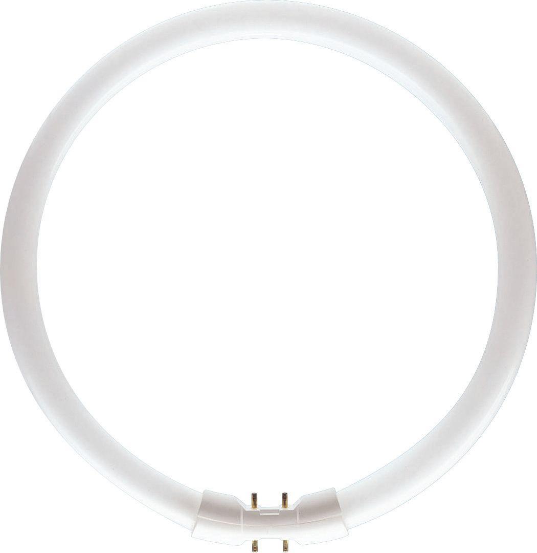 PHILIPS master tl5 circular fluorescentielamp - 4000K