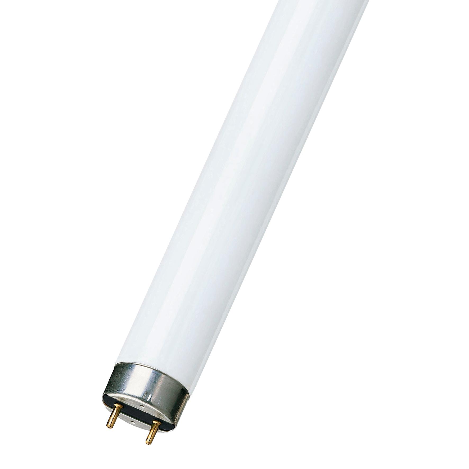 Bailey Fluorescent TL-buis 18W 1060lm 4000K G13 TL T8 G13 600MM