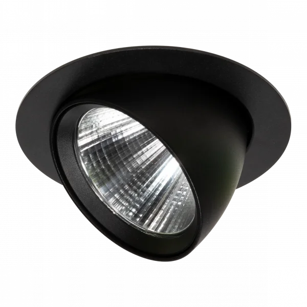Lumiparts Lumiparts Lynx Maxi II zwart 830 4207lm 24° 42W DALI