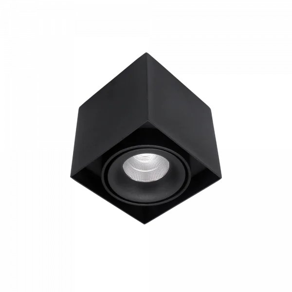 Lumiparts Caja 1-lichts zwart 940 850lm 25° TRIAC foto 1