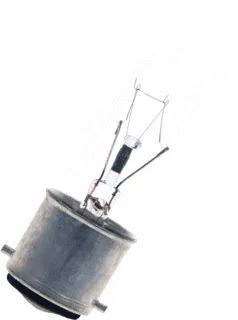 Bailey Gloeilamp buisvormig 60W B22d