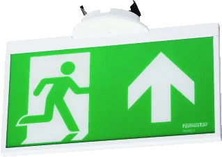 Famostar Go! LED Noodverlichting 1.5W