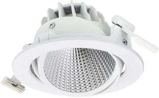 Philips GreenSpace Accent Cardanic LED Inbouwspot 33W 2800lm 5000K RS353B WIA-E MB FG