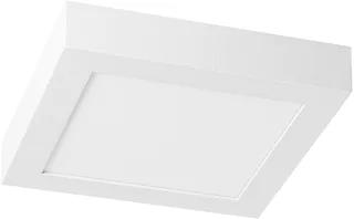 Prolumia LED Pro-Ceiling LED Plafond- en wandarmatuur 22W 4200K