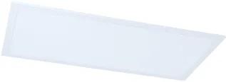 Prolumia LED paneel 60x30cm 21W 3000/6000K 2300lm DALI-dimbaar