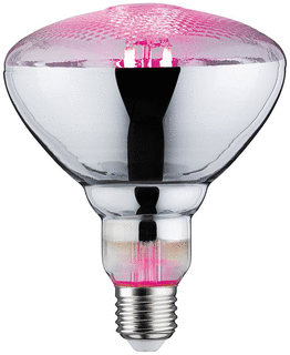 Paulmann LED-lamp 65W 200lm E27