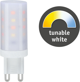 Paulmann LED-lamp 4W 300lm G9