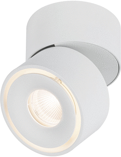 Paulmann Paulmann LED Downlight 10W 530lm