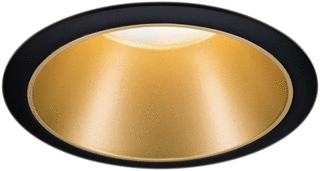Paulmann Paulmann LED Downlight 0W GU10