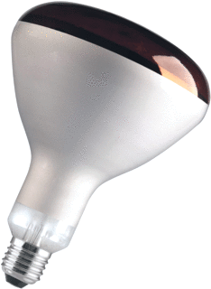 VICTORY IR-lamp 250W E27 foto 1