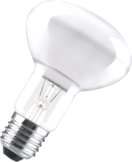 Bailey Bailey Special Application IR-lamp 100W E27 IR E27 220-240V FR