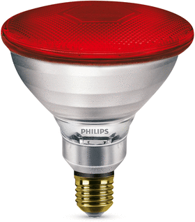 Philips Infrared Gloeilamp met reflector 175W E27