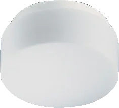 RZB Kreis LED Plafond- en wandarmatuur 57W E27