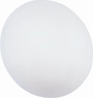 RZB RZB Flat Polymero IP44 PC LED Plafond- en wandarmatuur 45W E27