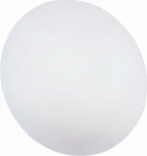 RZB Flat Polymero IP44 PC LED Plafond- en wandarmatuur 45W E27 foto 1