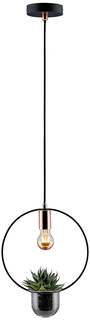Paulmann Paulmann LED Pendelarmatuur 0W E27