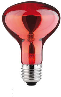 Paulmann Paulmann IR-lamp 60W E27