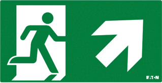 Eaton Blessing FlexiTech / RoundTech LED Noodverlichting pictogram foto 1
