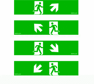 ESYLUX LED Noodverlichting pictogram