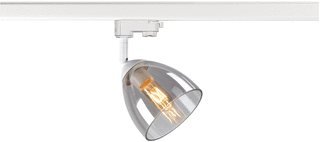SLV Para Cone LED Railspot 25W GU10