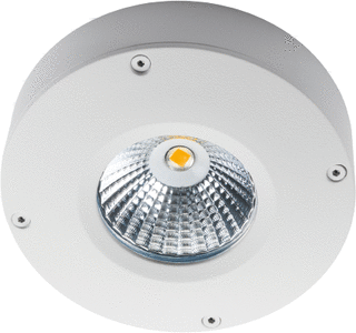 SG Lighting Callisto LED Opbouwspot 4W 200lm 3000K