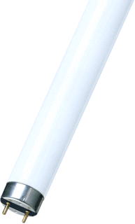 Bailey Fluorescent TL-buis 10W 280lm 3000K G13