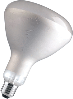 Bailey Bailey IR-lamp 375W E27 IR R125 E27110V HLR