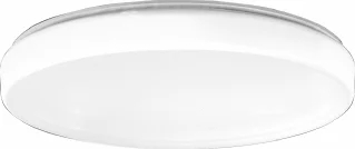 RZB RZB Flat Polymero Kreis Slim LED Plafond- en wandarmatuur 19W 2000lm 3000K