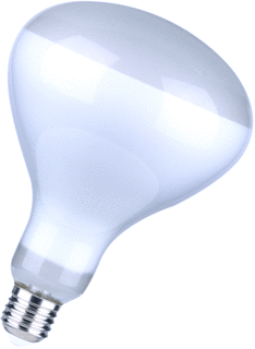 Bailey Bailey LED-lamp 11W 1005lm 2700K E27