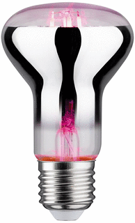 Paulmann LED-lamp 65W 200lm E27