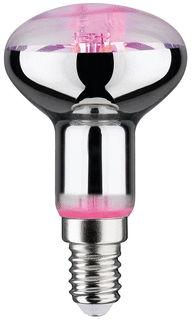 Paulmann Paulmann LED-lamp 4W 100lm E14