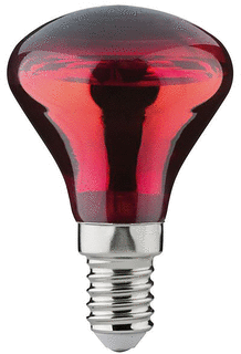 Paulmann IR-lamp 50W E14 foto 1