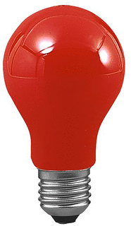 Paulmann Paulmann Gloeilamp standaard 25W E27