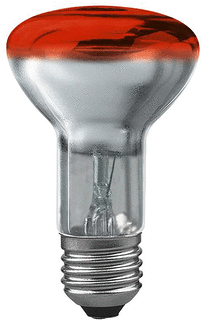 Paulmann Paulmann Gloeilamp met reflector 40W E27