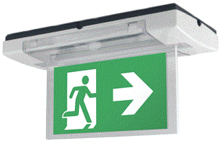 Eaton Blessing Skopos LED Noodverlichting 120lm foto 1