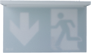 Eaton Blessing NexiTech LED Noodverlichting pictogram foto 1
