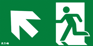 Eaton Blessing FlexiTech LED Noodverlichting pictogram foto 1
