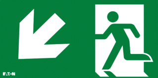 Eaton Blessing Eaton Blessing FlexiTech LED Noodverlichting pictogram