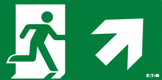 Eaton Blessing FlexiTech LED Noodverlichting pictogram foto 1