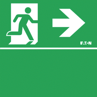 Eaton Blessing GuideLED LED Noodverlichting pictogram foto 1