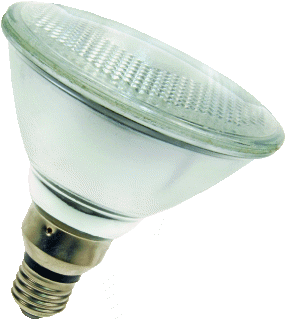 Bailey Hoogvolt halogeenreflectorlamp 75W 2800K E27