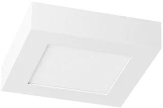 Prolumia LED Pro-Ceiling LED Plafond- en wandarmatuur 15W 2700-4000K
