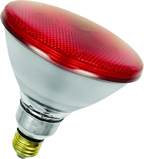 Bailey Bailey IR-lamp 100W E27