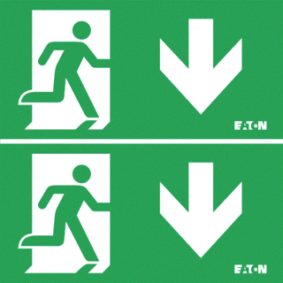 Eaton Blessing Eaton Blessing GuideLED LED Noodverlichting pictogram
