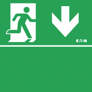 Eaton Blessing GuideLED LED Noodverlichting pictogram