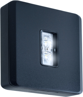 Van Lien Evago LED Noodverlichting 2W 274lm 5600K