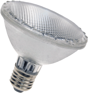 Bailey Halogen Reflector Hoogvolt halogeenreflectorlamp 100W 2800K E27