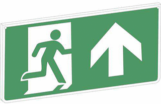 STAHL LED Noodverlichting pictogram foto 1
